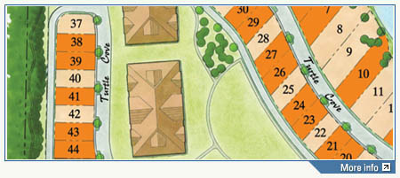 Turtle Cove Site Plan
